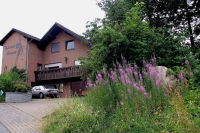 Sommerblütenhonig