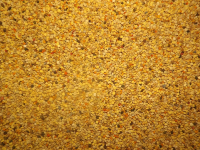 Bl&uuml;tenpollen in Honig