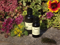Propolis