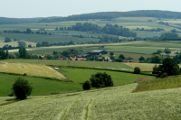Waldhonig
